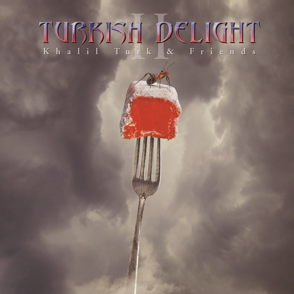 TURKISH DELIGHT VOLUME TWO/VINYLE 1 GRIS CENDRE/VINYLE 2 ROSE - Front Cover