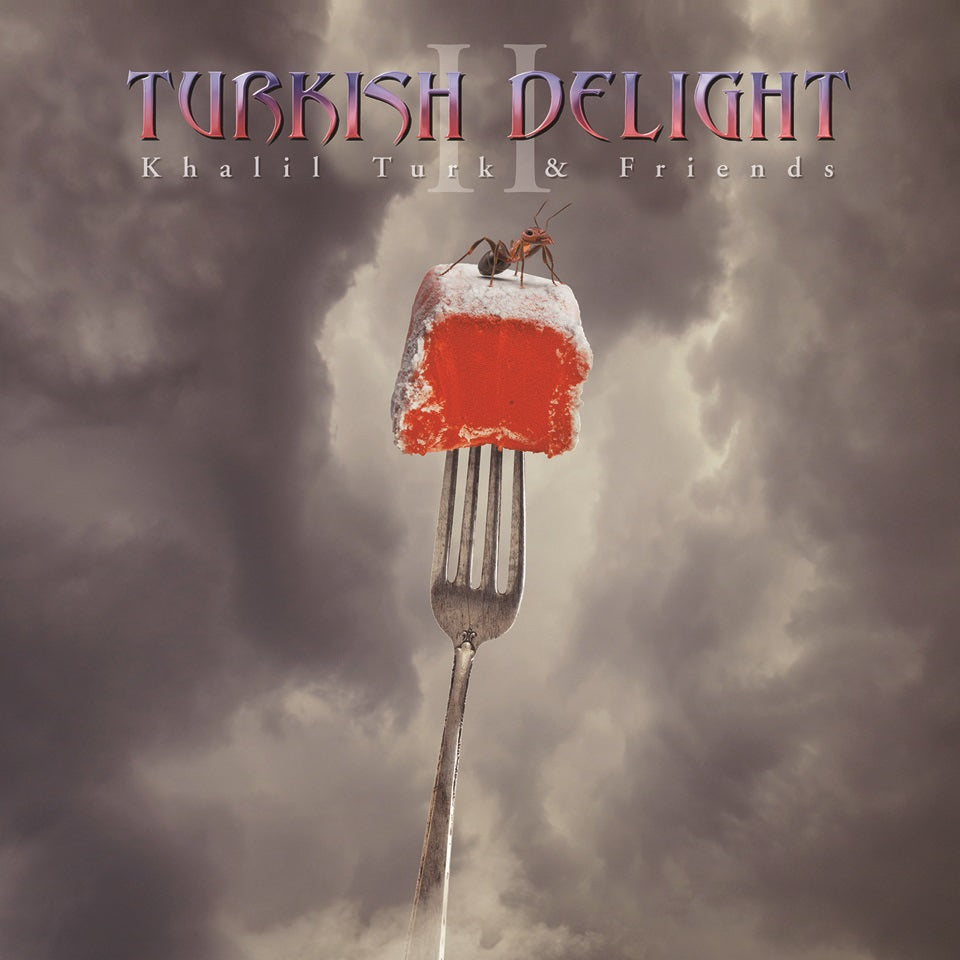 TURKISH DELIGHT VOLUME TWO/VINYLE 1 GRIS CENDRE/VINYLE 2 ROSE - Front Cover