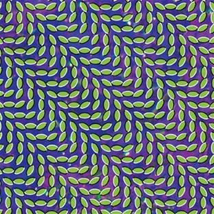 Merriweather Post Pavilion - Front Cover