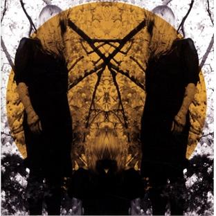 Feel it break - Front Cover