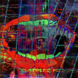 Centipede hz - Front Cover