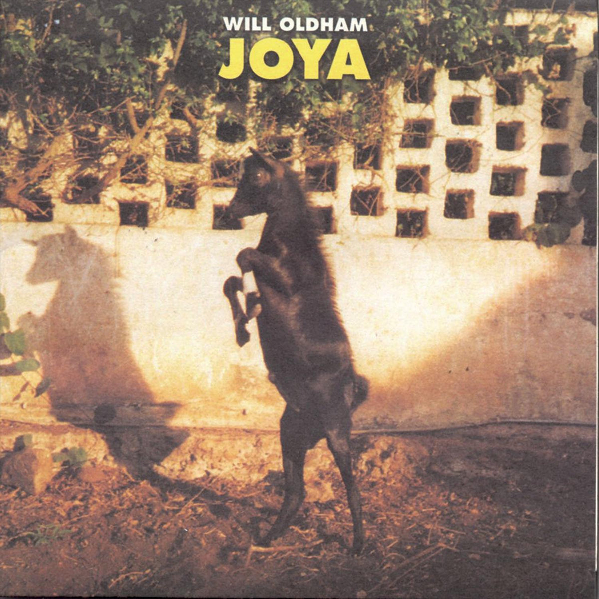 Joya - Front Cover