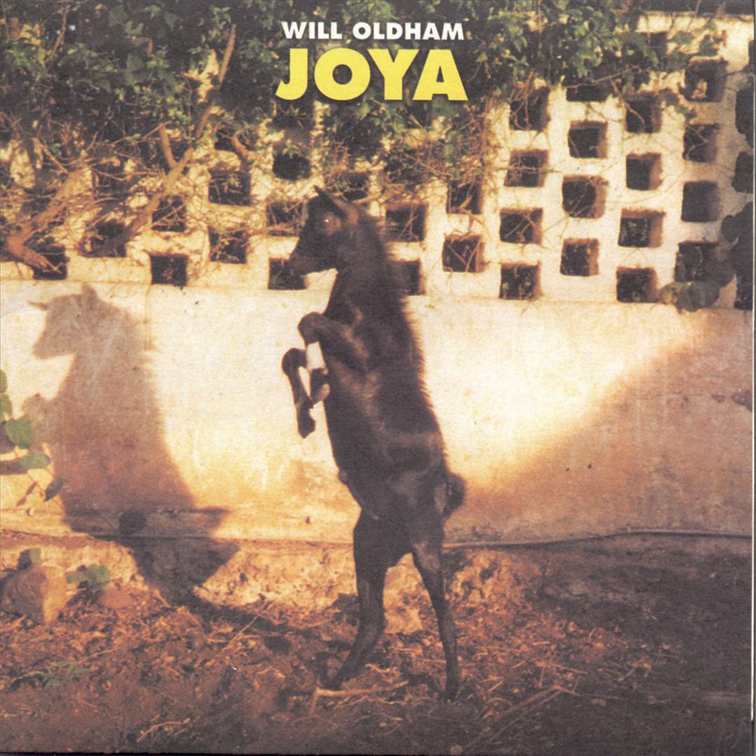 Joya - Front Cover