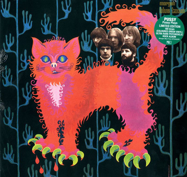 Pussy Plays - Front Cover