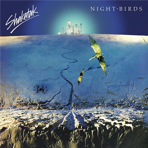 NIGHT BIRDS/VINYLE COULEUR OR 180GR - Front Cover