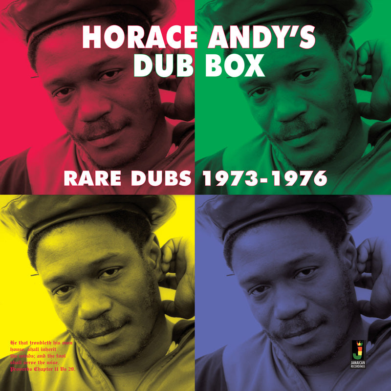 DUB BOX/RARE DUBS 1973 1976 - Front Cover