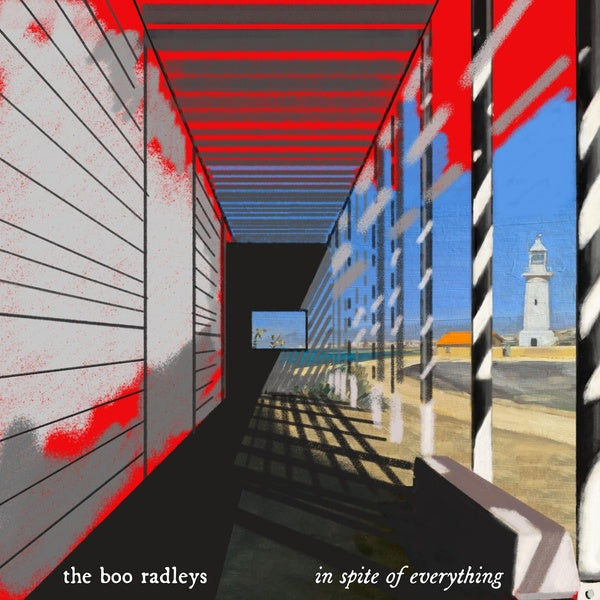 In Spite Of Everytyhing - Vinyle - Front Cover