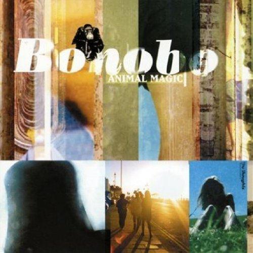 ANIMAL MAGIC - Front Cover