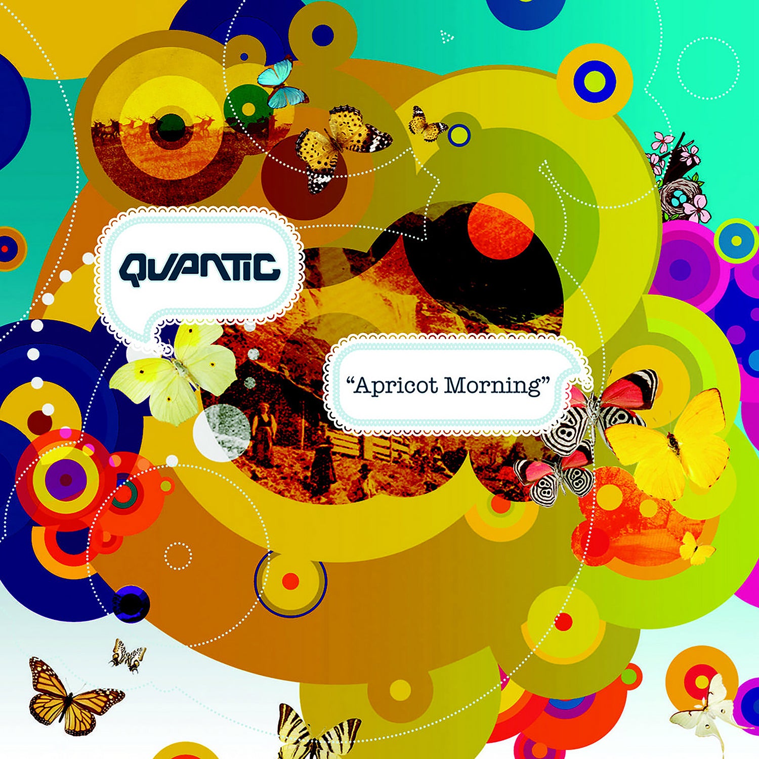 APRICOT MORNING - Front Cover