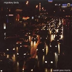 Migratory birds - Front Cover