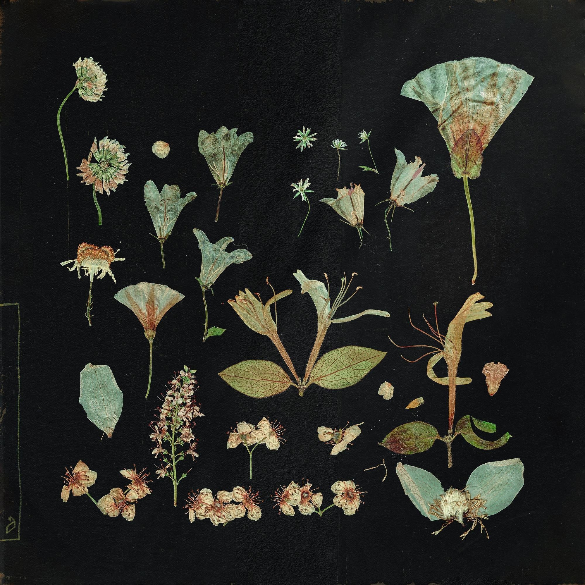 When The Quiet Comes - Front Cover