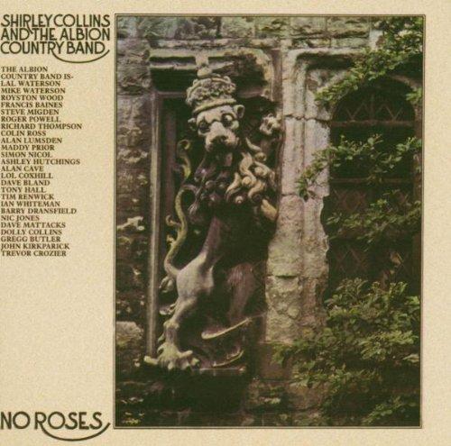 No roses - Front Cover