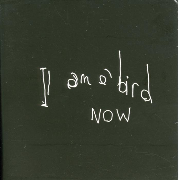 I'M A BIRD NOW - Front Cover