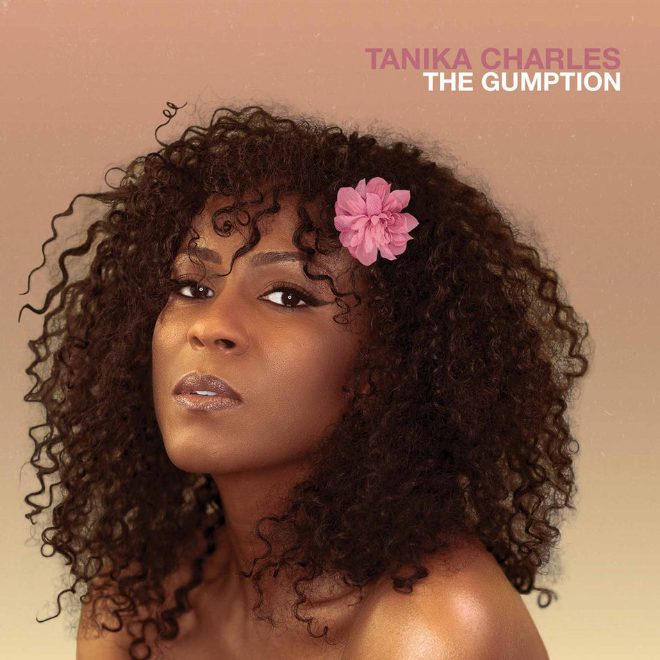 The Gumption - Front Cover