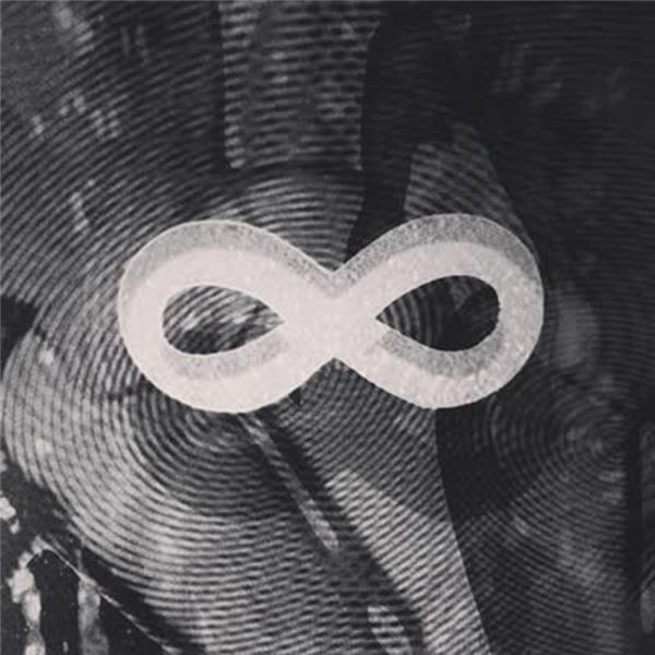 The loop - Front Cover