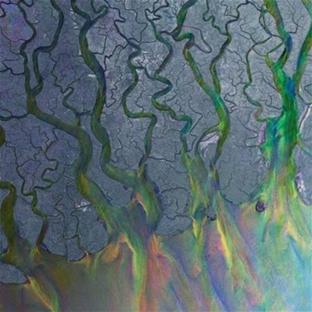 An Awesome Wave - Front Cover