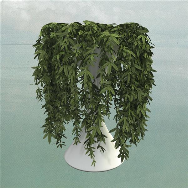 Lease of life - Front Cover