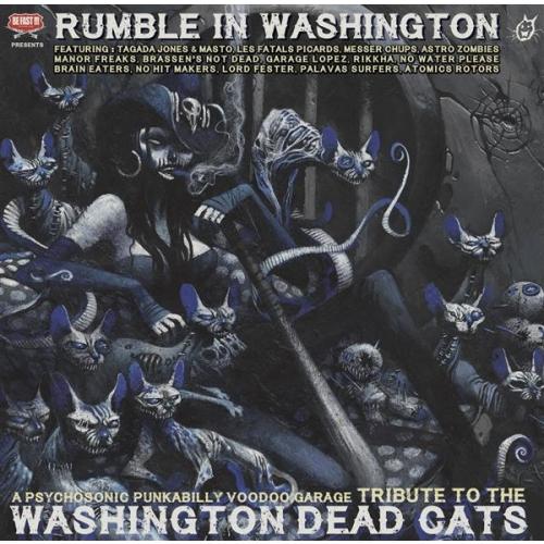 Rumble in Washington - Front Cover