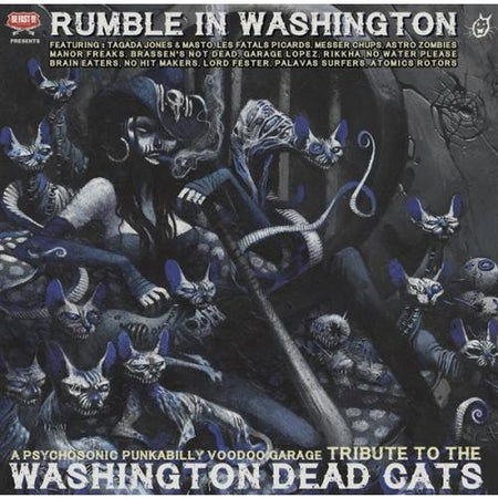 Rumble in Washington - Front Cover