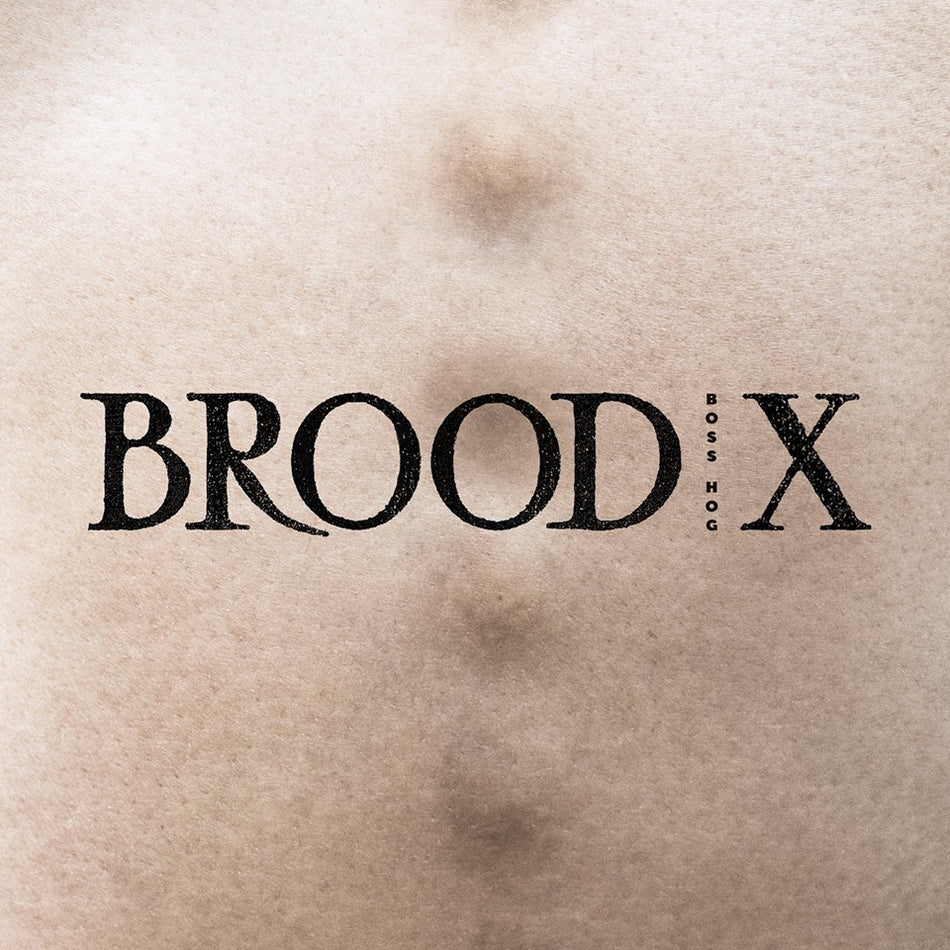 BROOD X - Front Cover