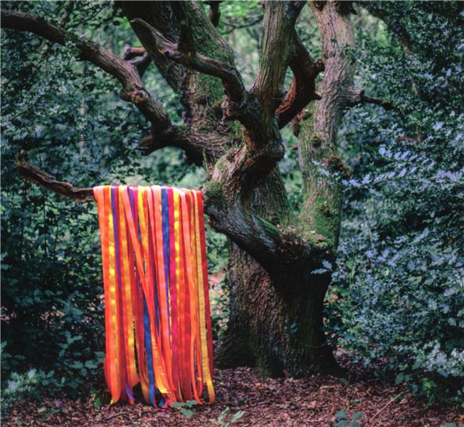 The Animal Spirits - Front Cover