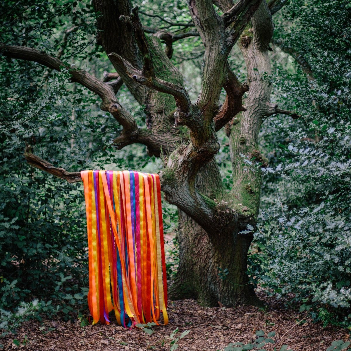 The Animal Spirits - Front Cover