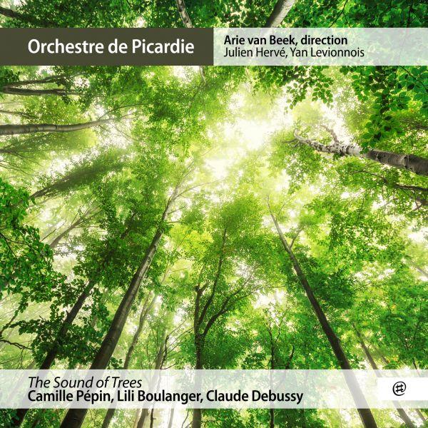 Sound of trees - Front Cover