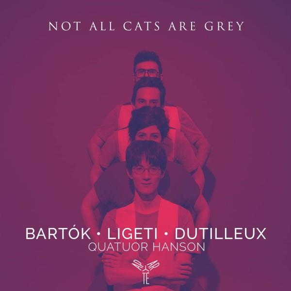 Not All Cats Are Grey - Front Cover