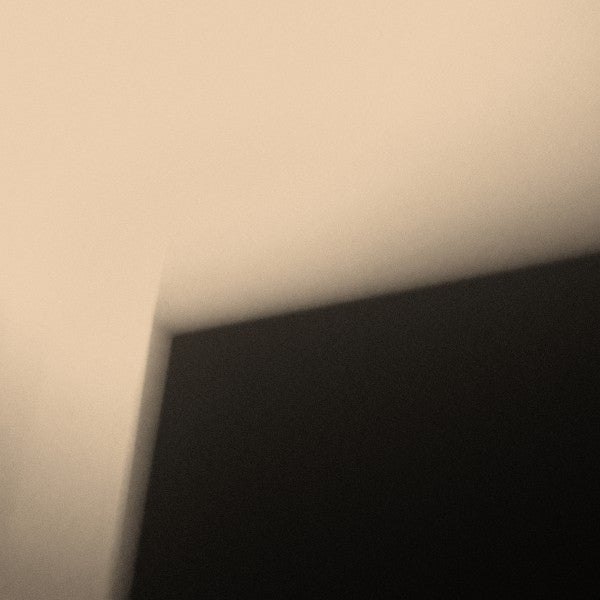 for you who are the wronged - Front Cover