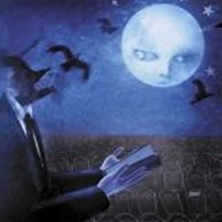 Lullabies for the dormant mind - Front Cover