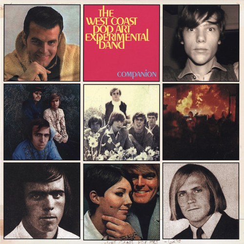 Companion - Front Cover