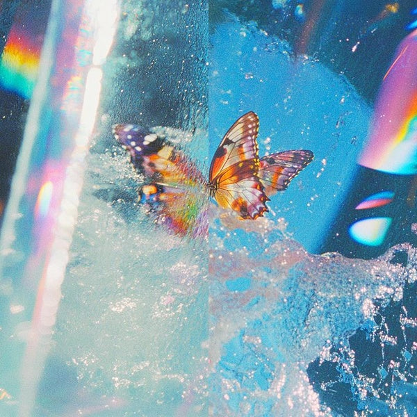 Butterfly - Front Cover
