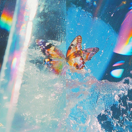 Butterfly - Front Cover