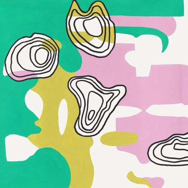 Pace The Wrecks - Vinyle - Front Cover