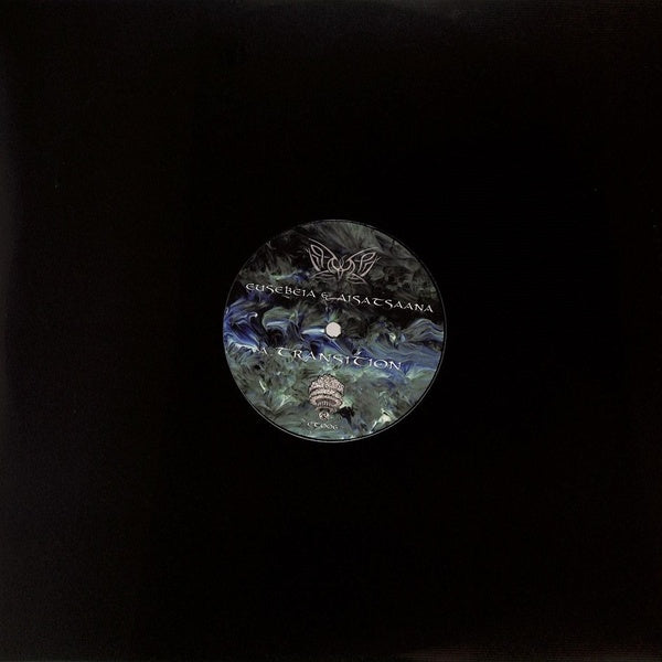 Transition/Intuition - Front Cover