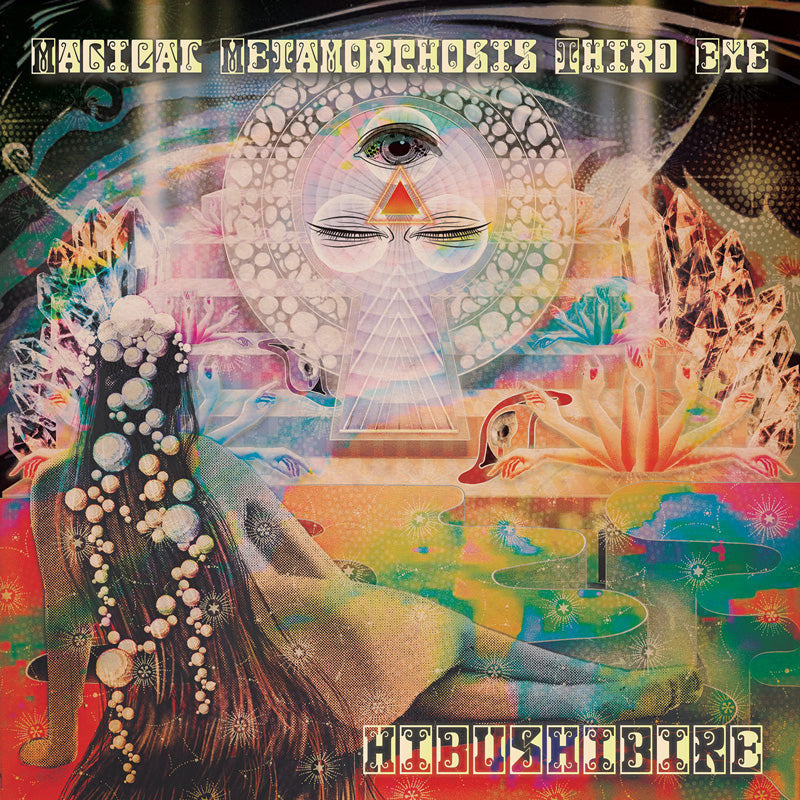Magical Metamorphosis Third Eye - Front Cover