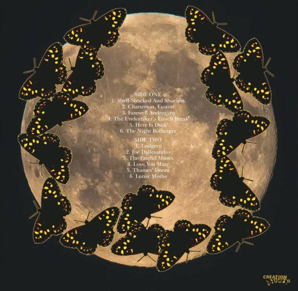 DROPPING LIKE BUTTERFLIES - Front Cover