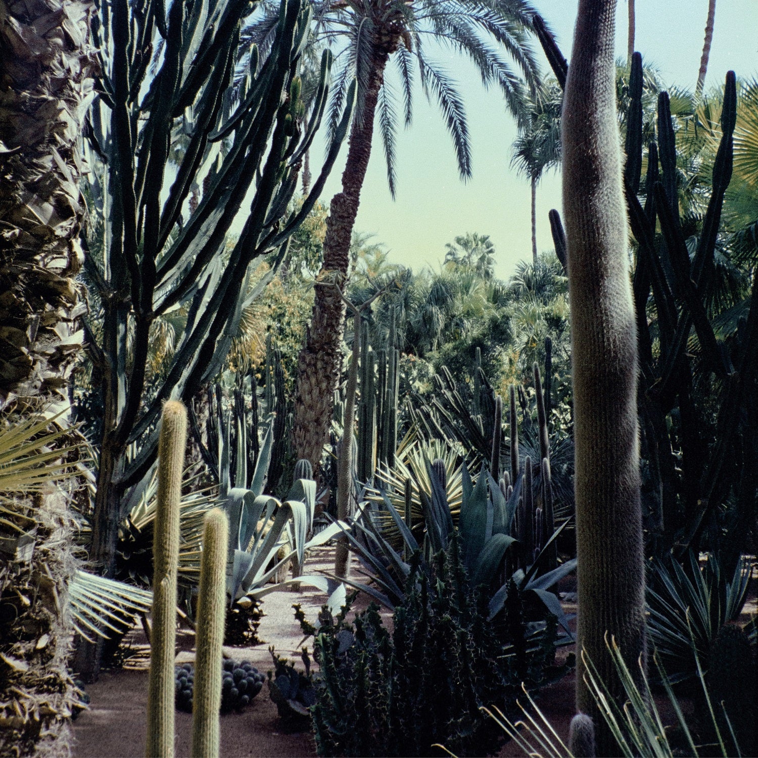 THREE BODY - Front Cover