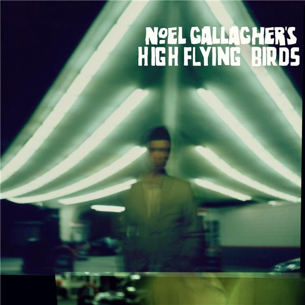 High flying birds - Front Cover