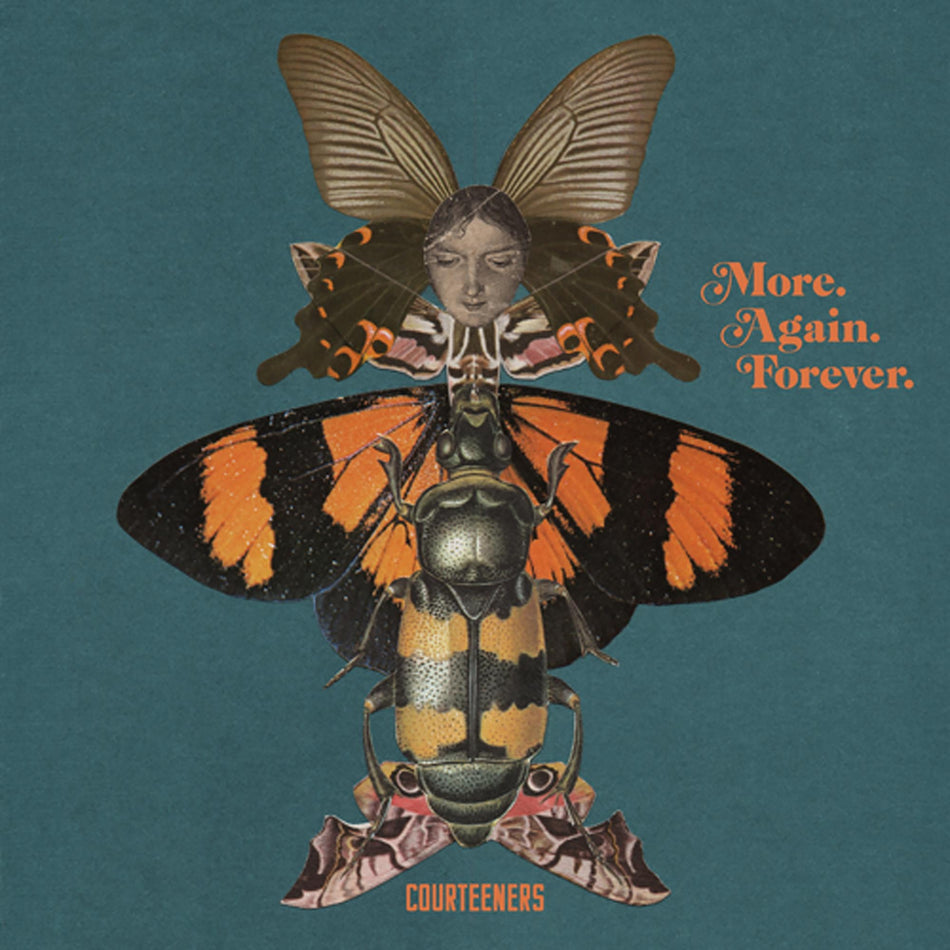 More. Again. Forever. - Front Cover