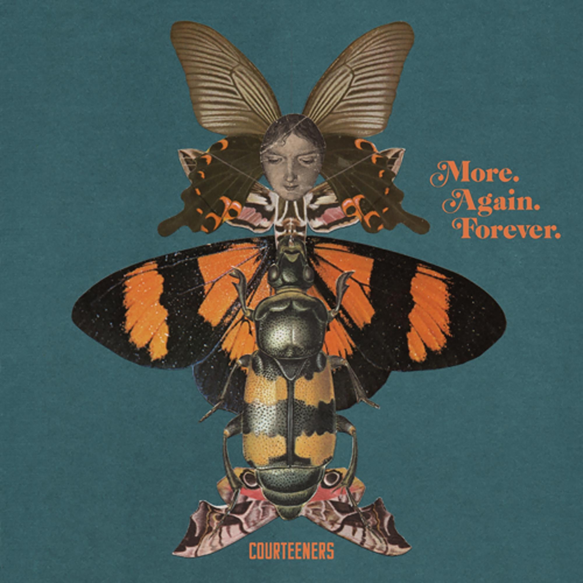 More. Again. Forever. - Front Cover