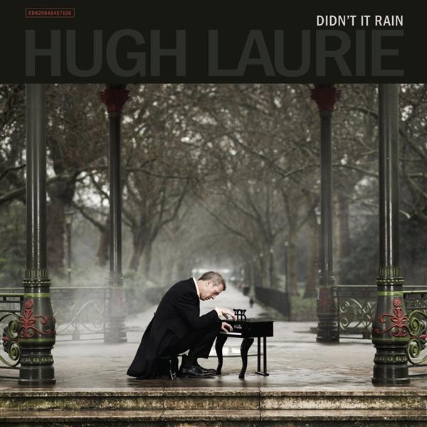 Didn't it rain - Front Cover