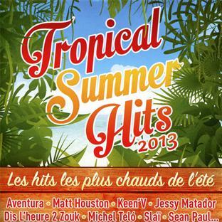 Tropical summer hits 2013 - Front Cover