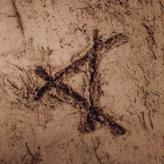 Tracked In Mud - Front Cover