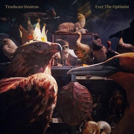 Ever The Optimist - Front Cover