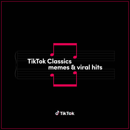 TIKTOK CLASSICS MEMES & VIRAL HITS (VINYLE) - Front Cover