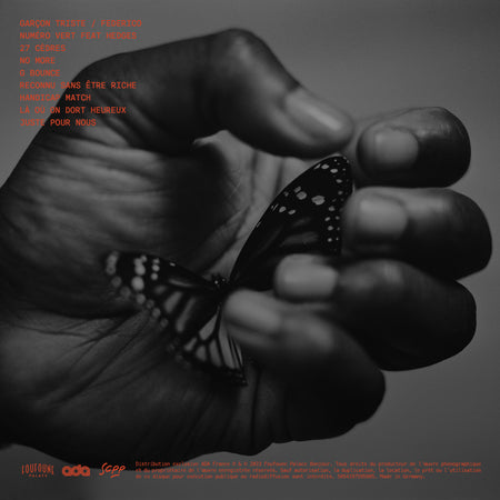 PAPILLON MONARQUE - Back Cover