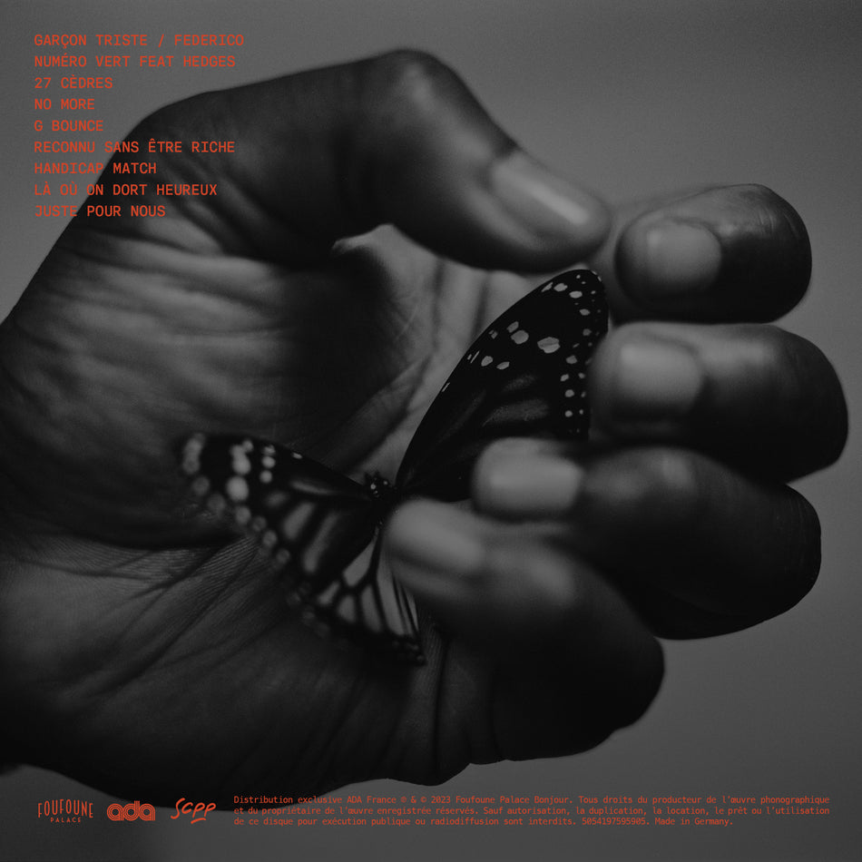 PAPILLON MONARQUE - Back Cover