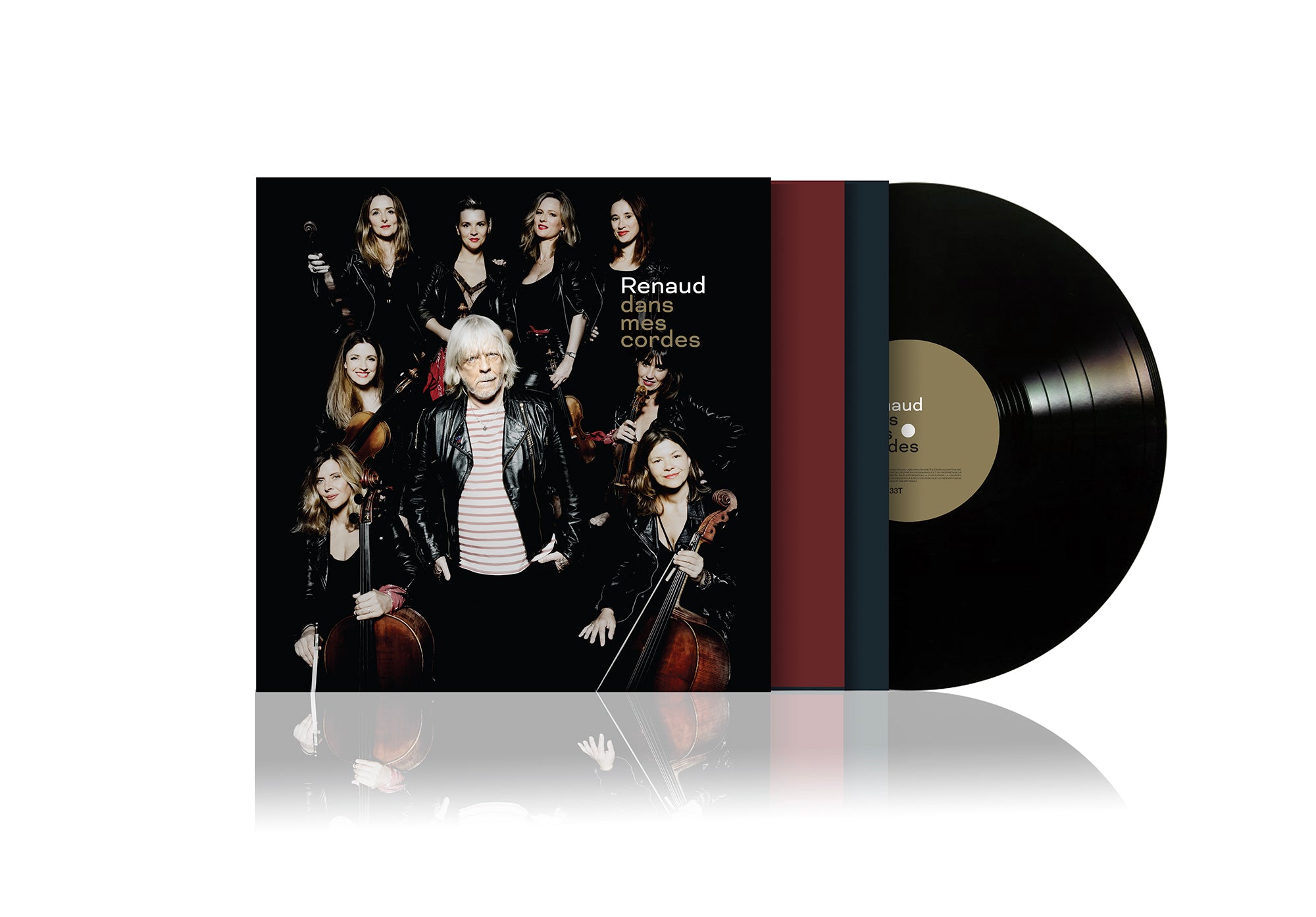 DANS MES CORDES (DOUBLE VINYLE) (ALBUM STUDIO) - Front Cover