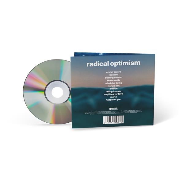 Radical Optimism - Front Cover